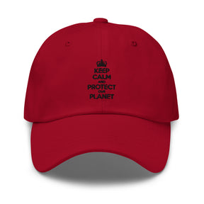 Keep Calm Protect The Planet Dad Hat